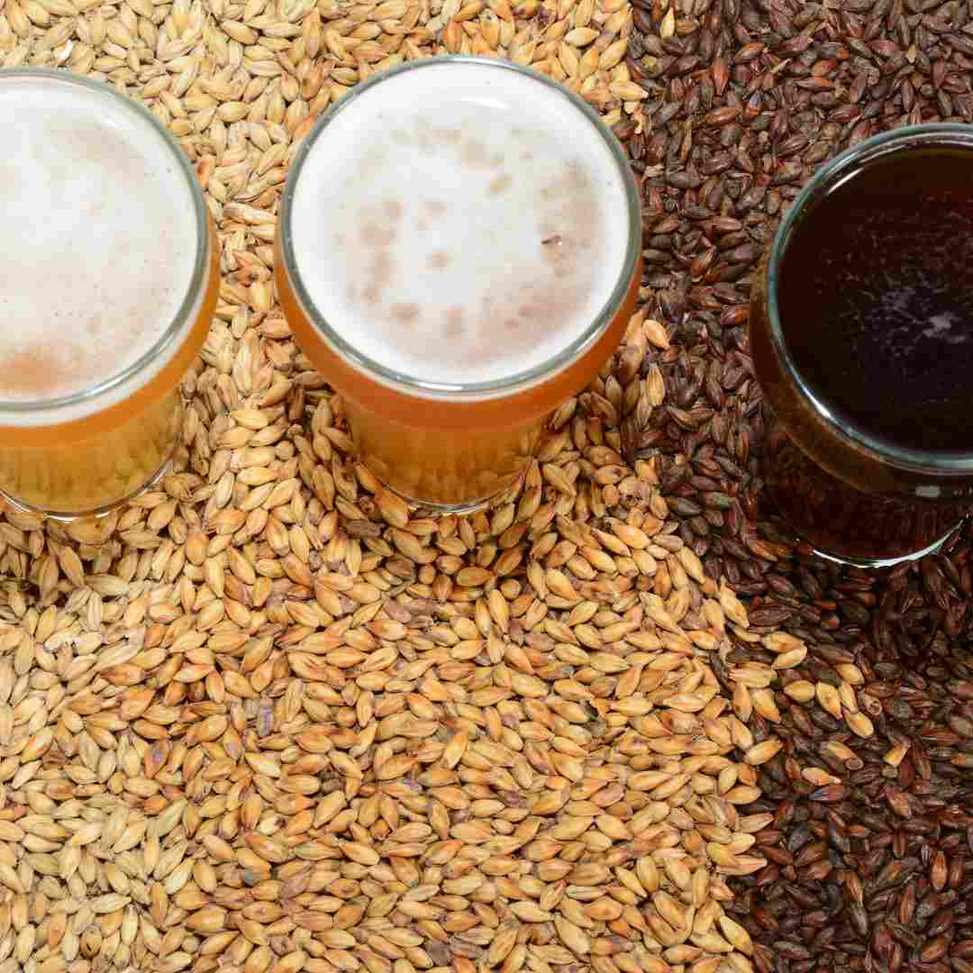 can you brew beer at home