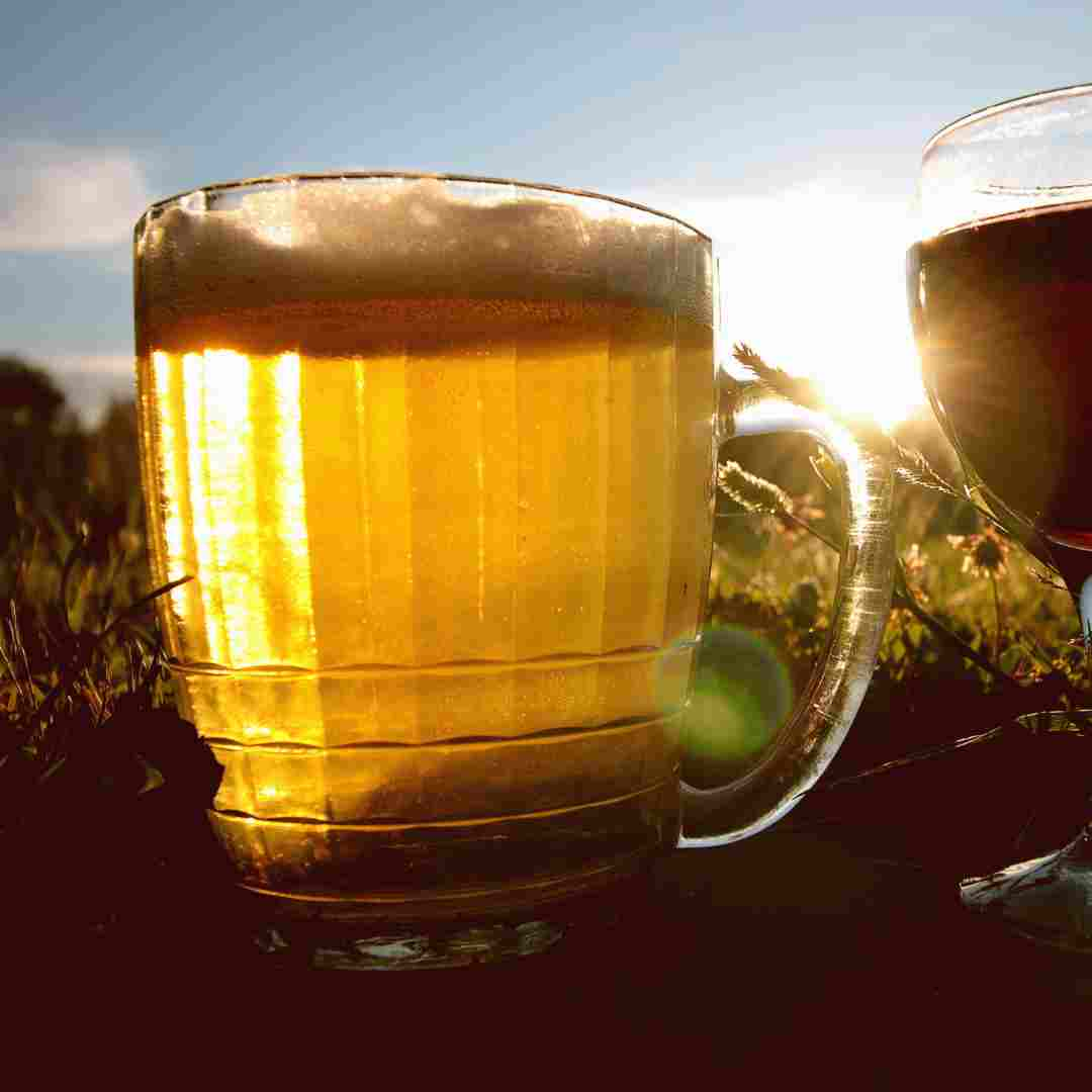 The Cost of Home Brewing: Understanding the Expenses