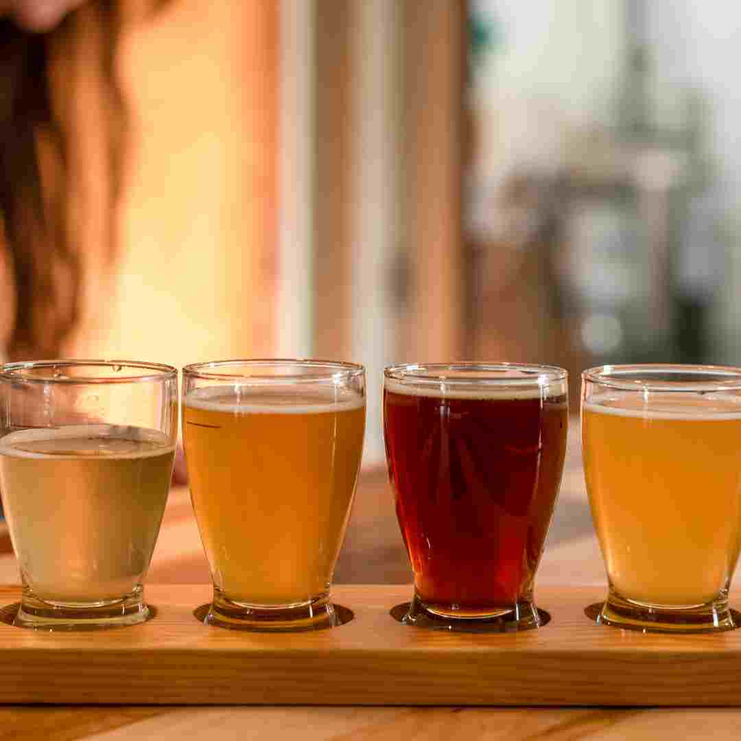 Exploring the Viability of the Beer Brewing Industry