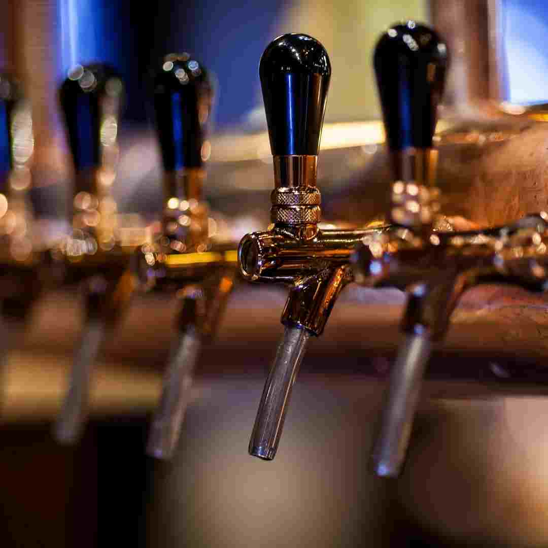 Exploring the Prospects and Rewards of Brewing Professionally