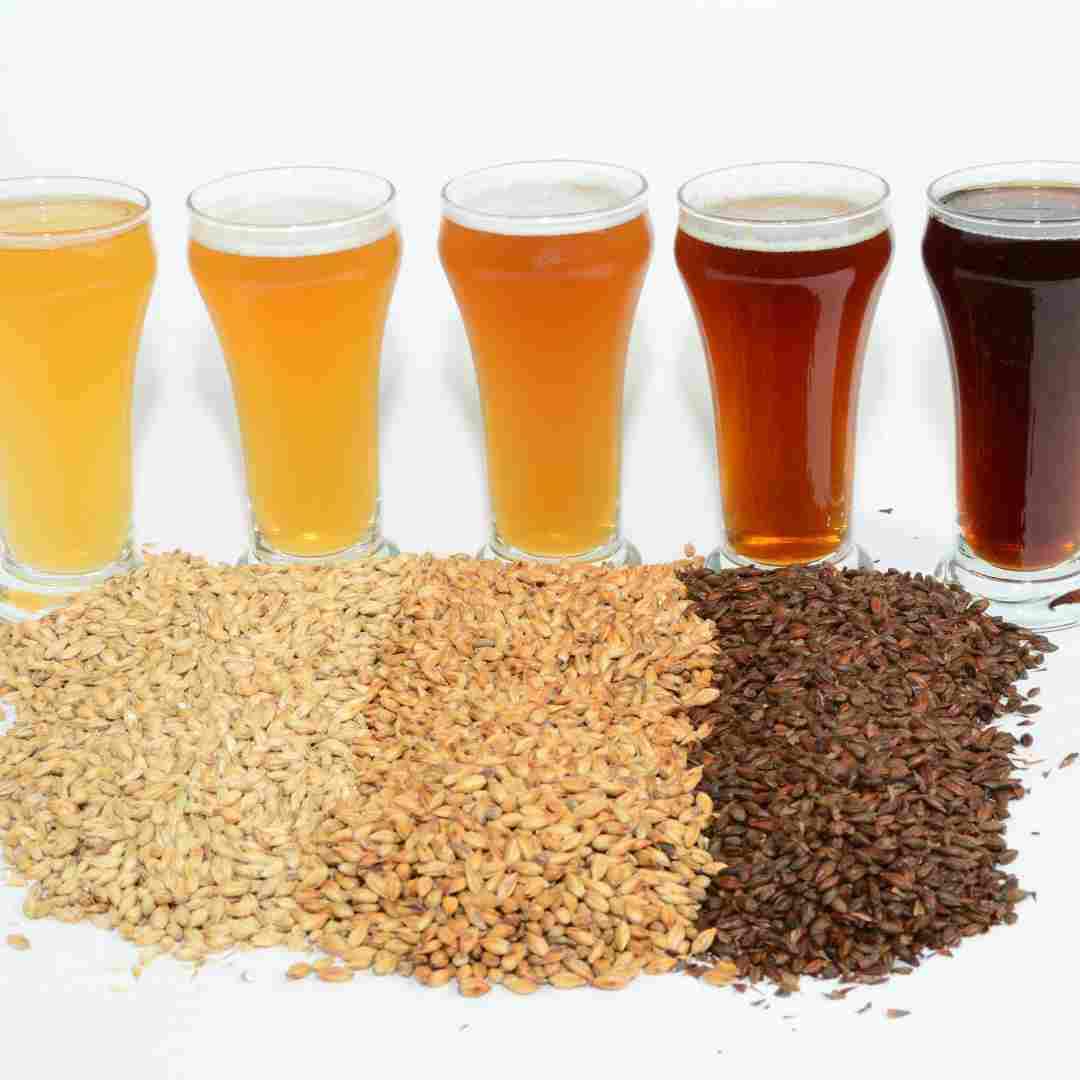 is home brewing worth it