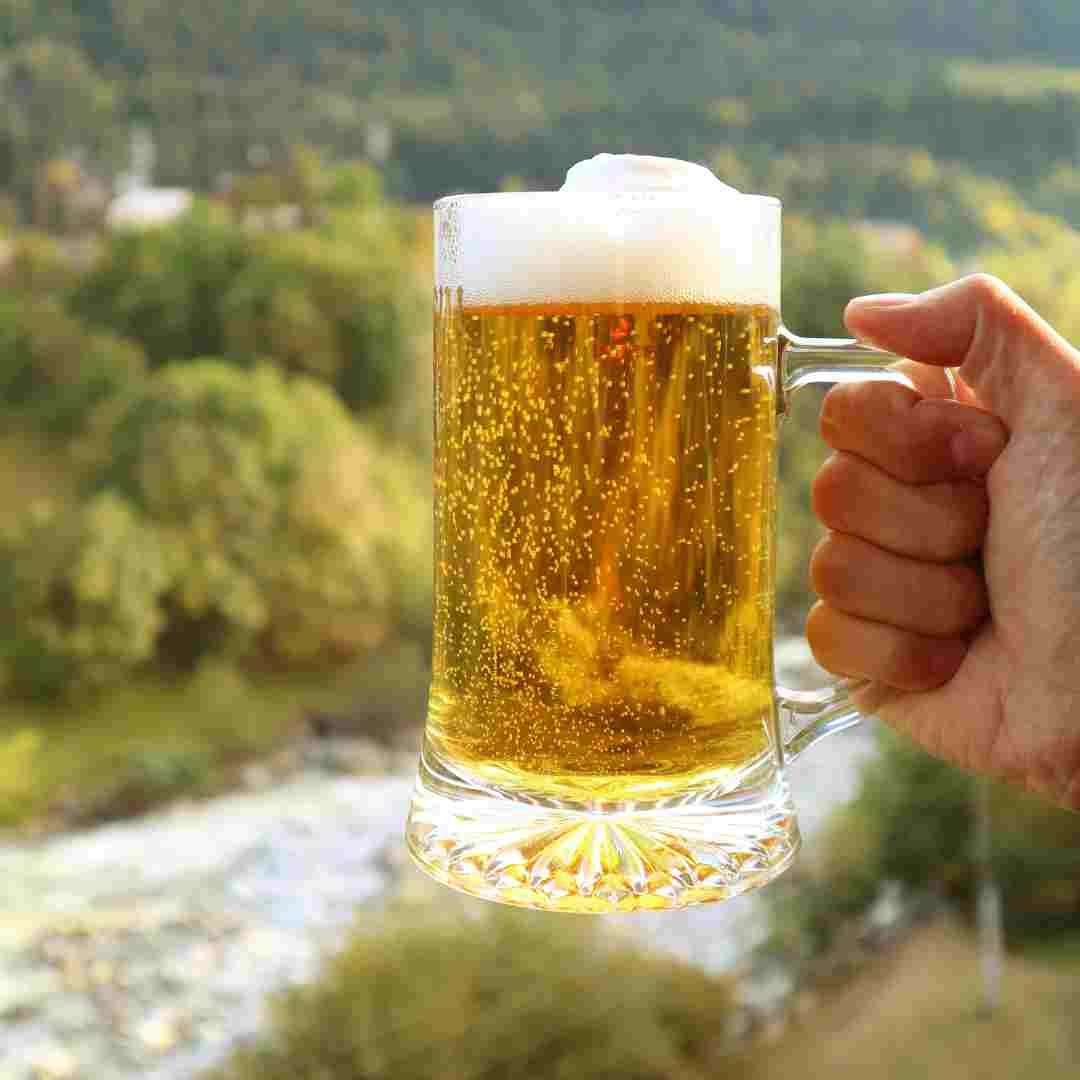 what's the best home brew lager